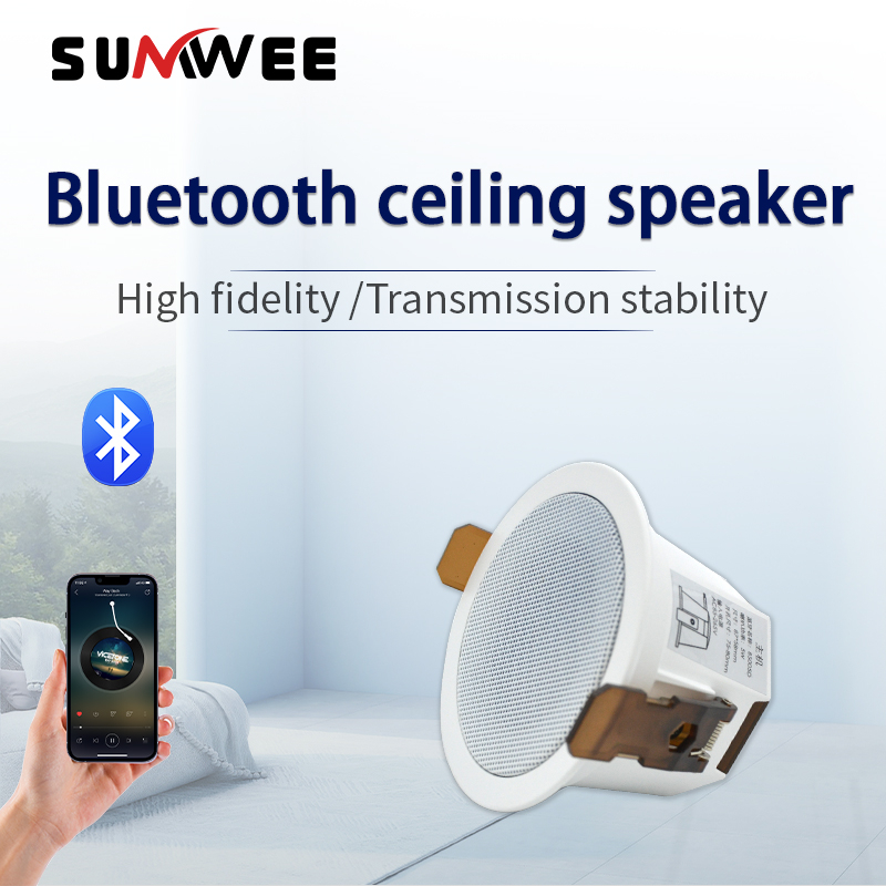 Home Cinema System - Mini haut-parleur Bluetooth pour plafond, enceintes
