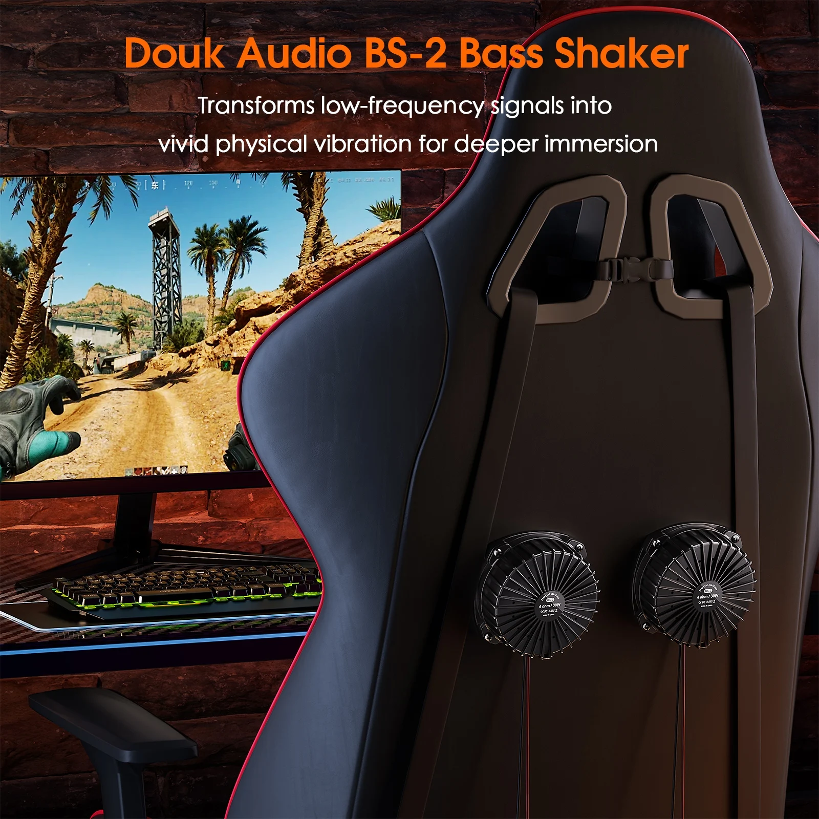 Douk Audio BS-2 30W 4Ω Bass Sh - Home Cinema Chairs avis et prix