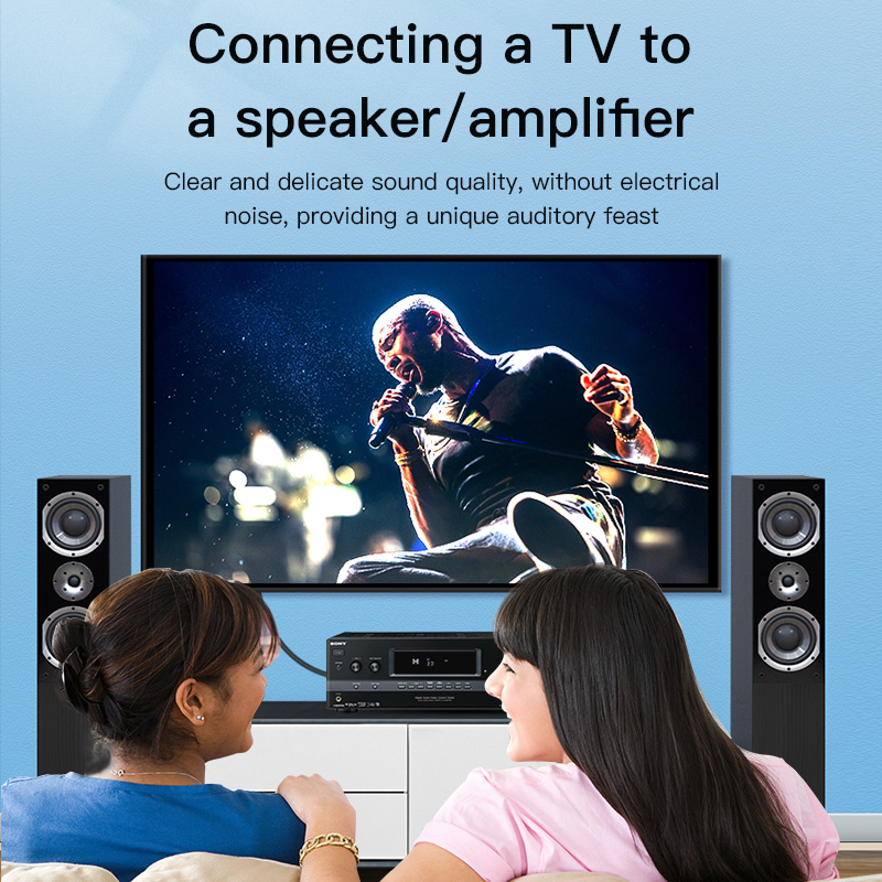 Câble RCA CHOSEAL, câble audio - Home Cinema Installation avis et prix